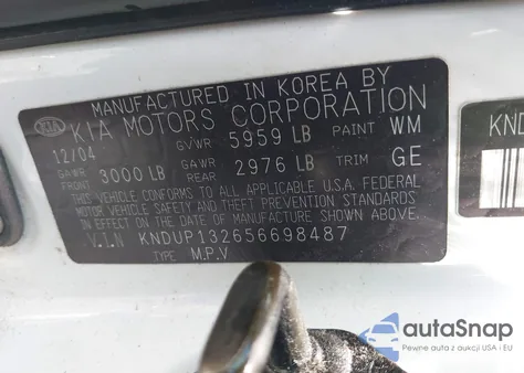 2005 Kia Sedona Ex/Lx из США, поврежденный, VIN KNDUP132656698487